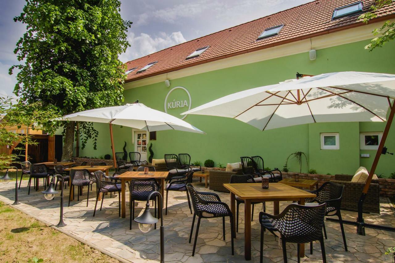 Penzion Kuria Nové Mesto nad Váhom エクステリア 写真