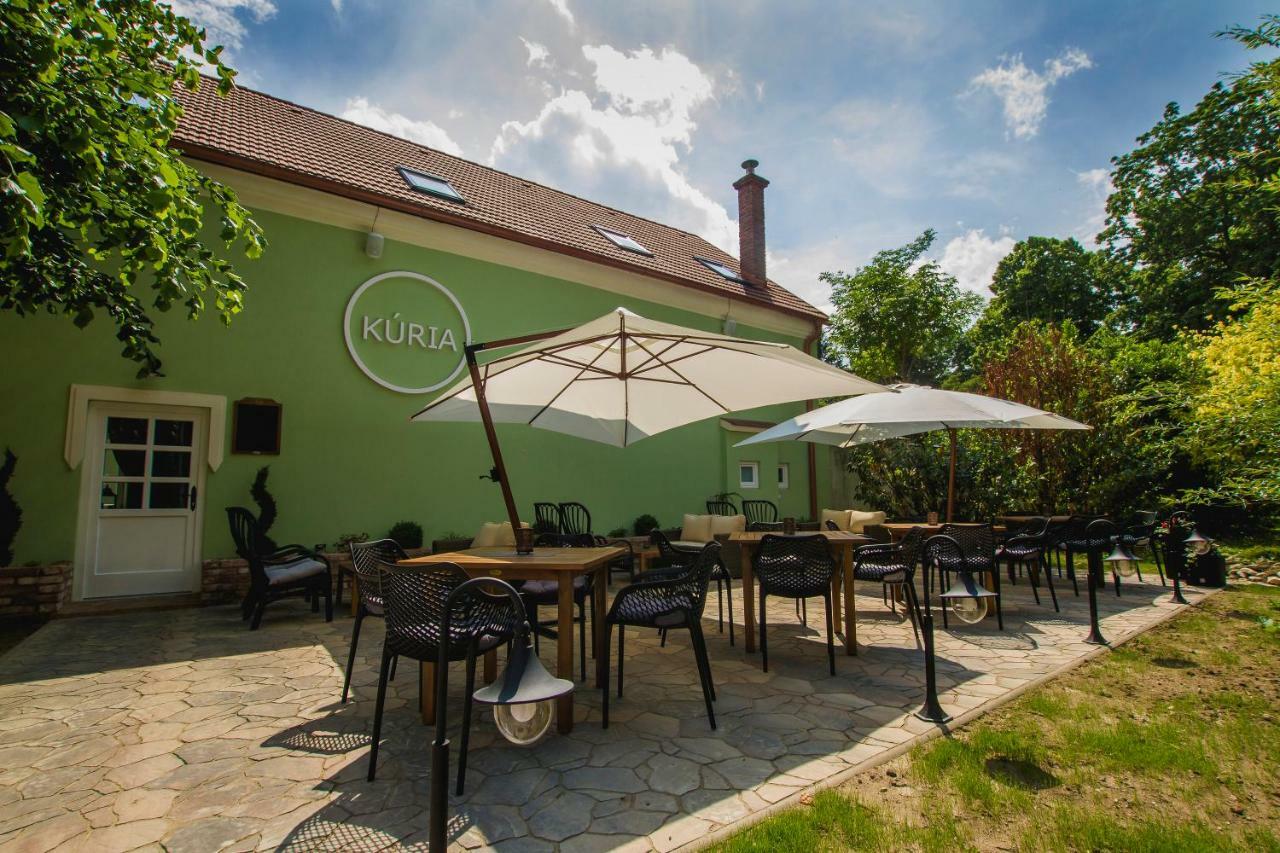 Penzion Kuria Nové Mesto nad Váhom エクステリア 写真