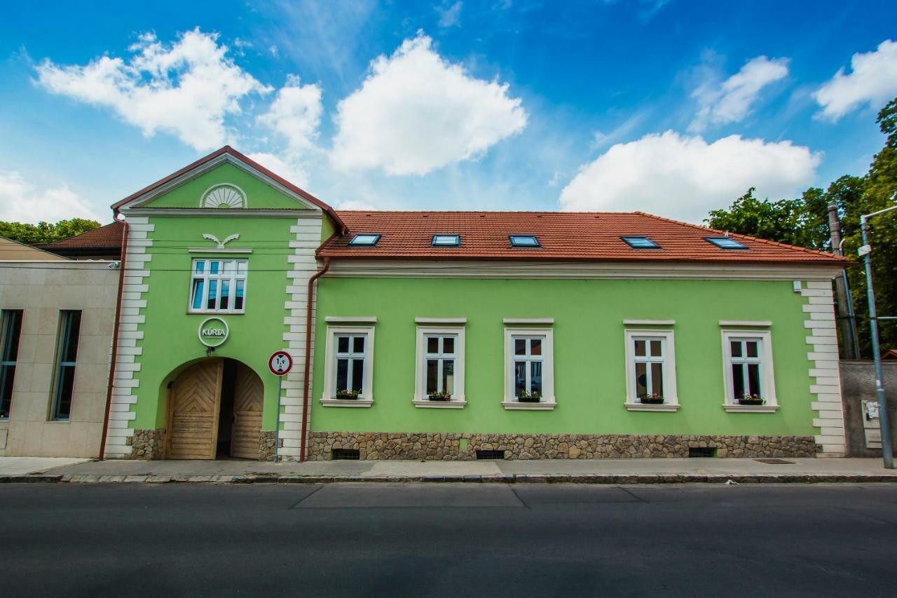 Penzion Kuria Nové Mesto nad Váhom エクステリア 写真